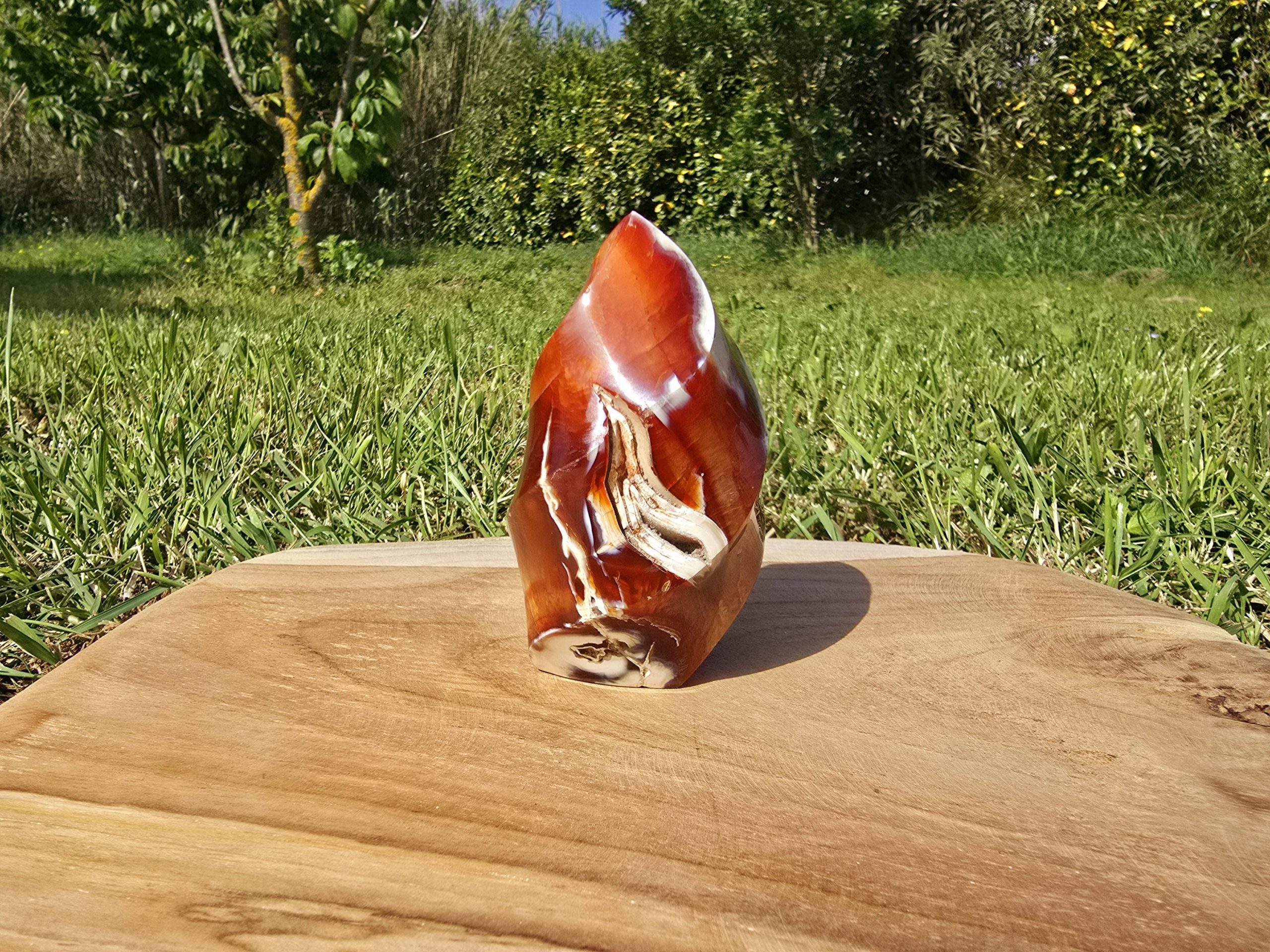 Flamme en Cornaline – Image 3