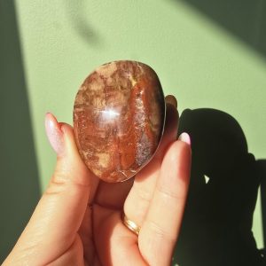 Galet en Bois Fossilisé