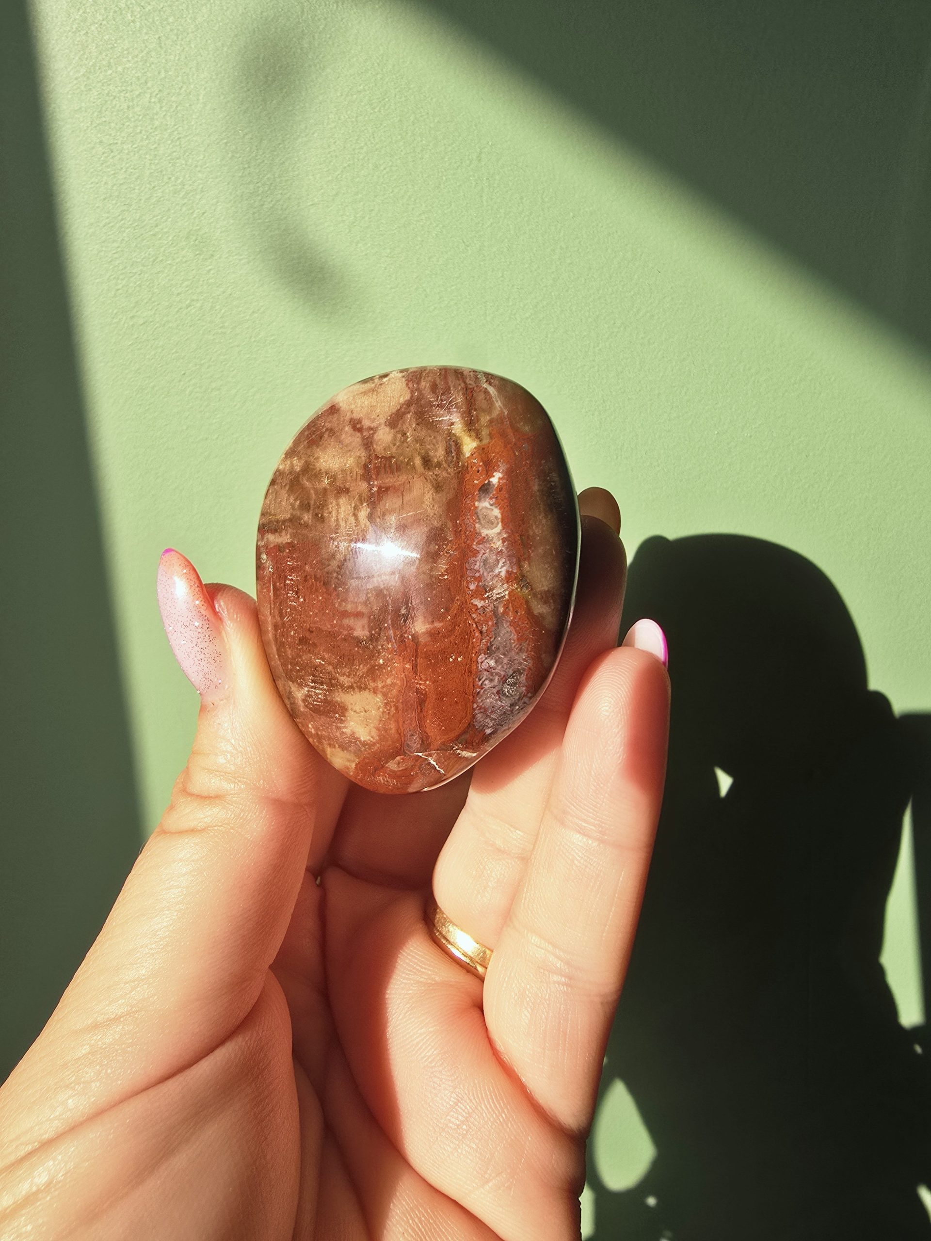 Galet en Bois Fossilisé
